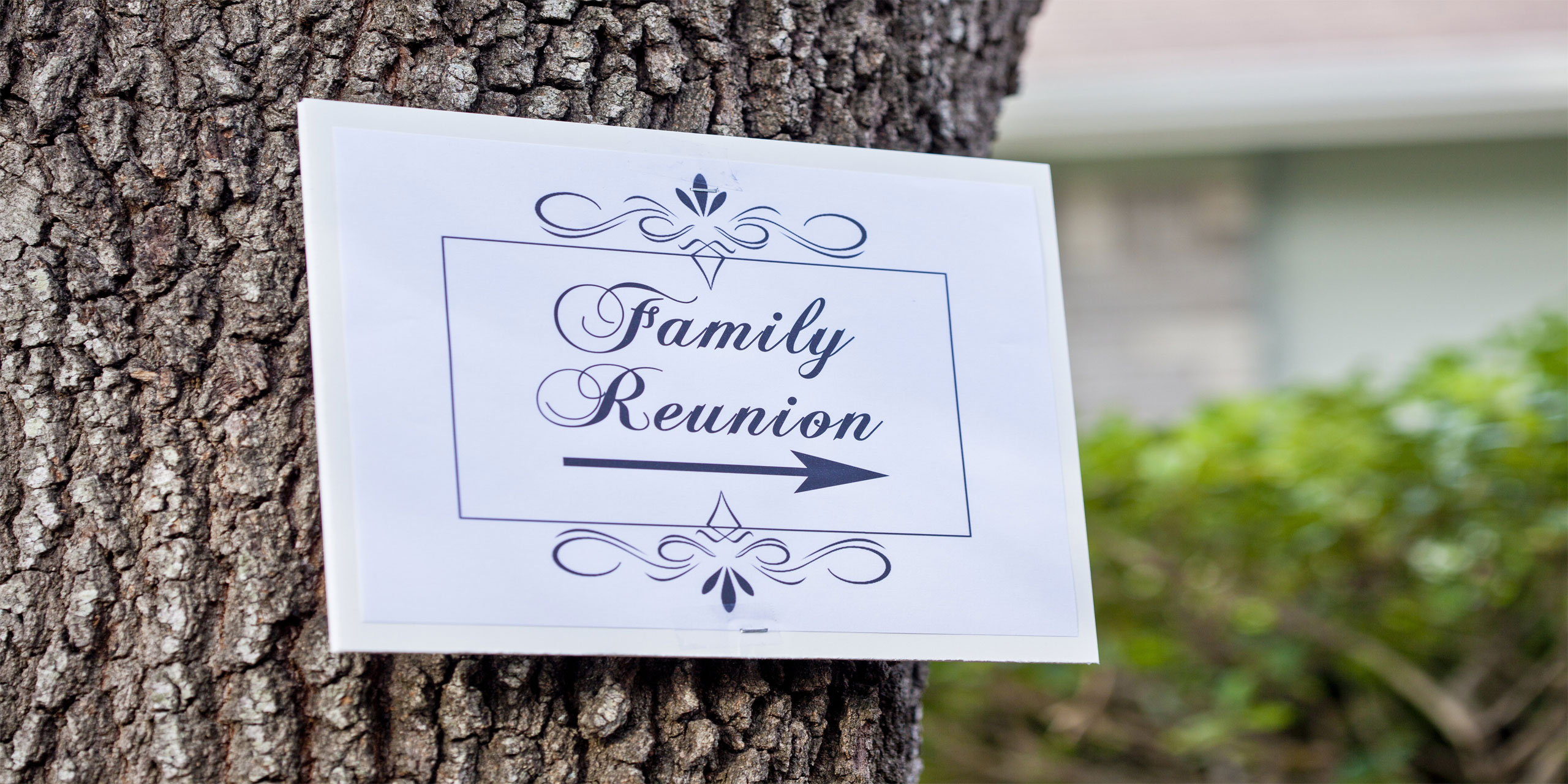 Best Resorts For Family Reunions