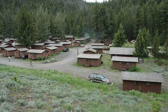 Roosevelt Lodge Cabins Yellowstone National Park What To Know