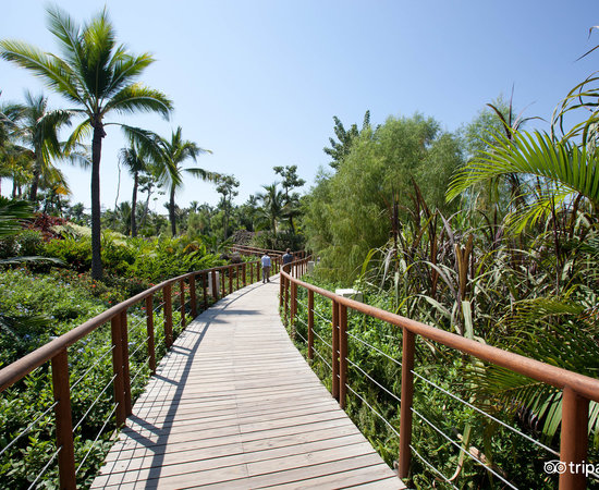 Mayan Palace Nuevo Vallarta Nuevo Vallarta What To