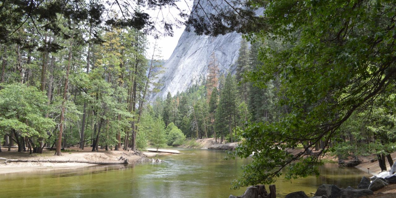 Yosemite Housekeeping Camp Yosemite National Park Ca What To