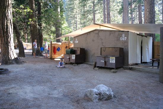 Yosemite Housekeeping Camp Yosemite National Park Ca What To