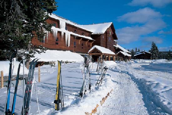 Old Faithful Snow Lodge Cabins Yellowstone National Park What