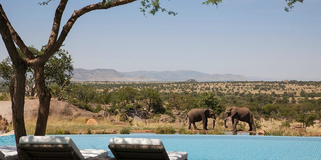 best safari resorts for families