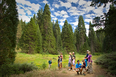 Tenaya Lodge At Yosemite Fish Camp Ca What To Know Before You