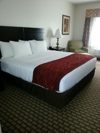 Comfort Inn Suites Downtown Kansas City Kansas City Mo What