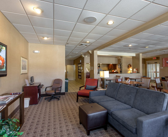 Comfort Inn Mystic Mystic Ct What To Know Before You Bring