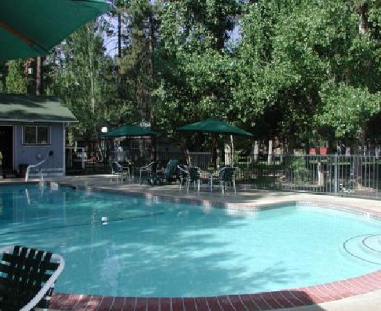 Grey Squirrel Resort (Big Bear Lake, CA): What to Know BEFORE You Bring