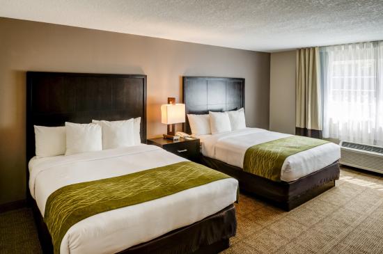 Comfort Inn Suites Zoo Seaworld Area San Diego Ca What To