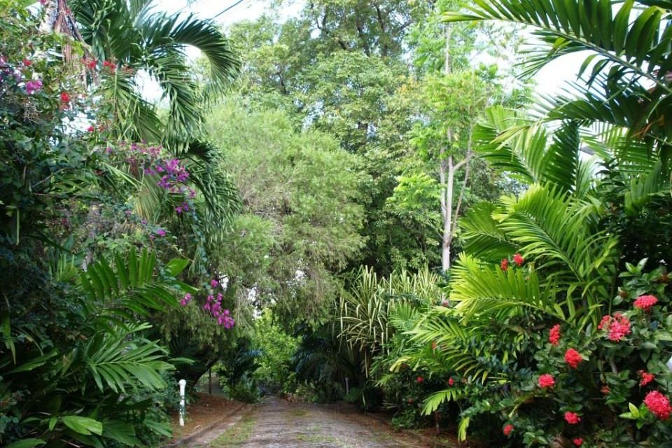 Garden House Jamaica (Ocho Rios): What to Know BEFORE You Bring Your Family