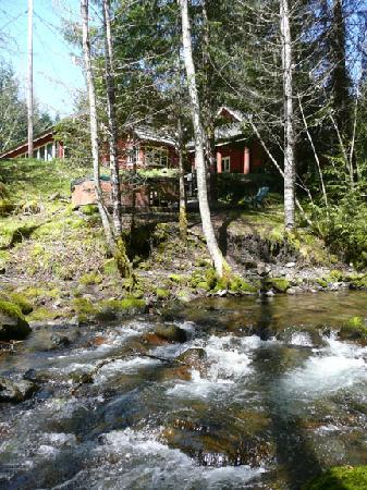 Copper Creek Inn Cabins Lodge Ashford Wa What To Know