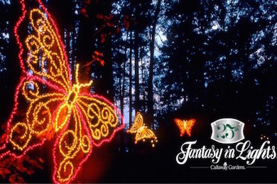 Callaway Gardens Celebrates 25th Anniversary Of Fantasy In Lights