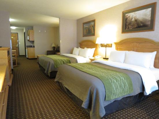 Comfort Inn Suites Custer Custer Sd What To Know Before You