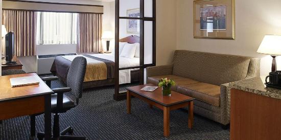 Comfort Inn Suites Boston Logan International Airport Revere