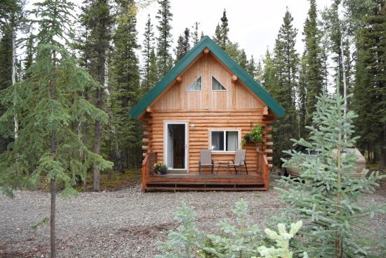 Caribou Cabins (Tok, AK): What to Know BEFORE You Bring ...