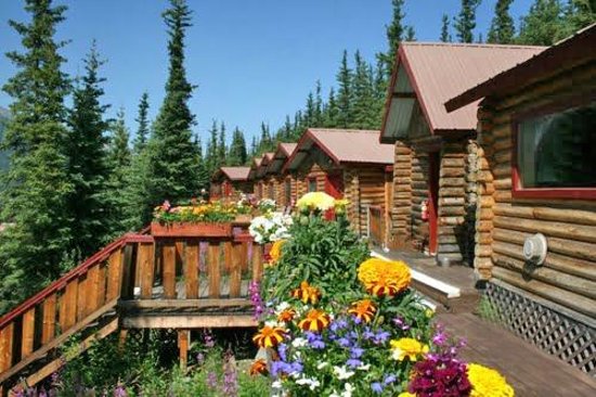 Denali Crow S Nest Cabins Mckinley Village Ak What To Know