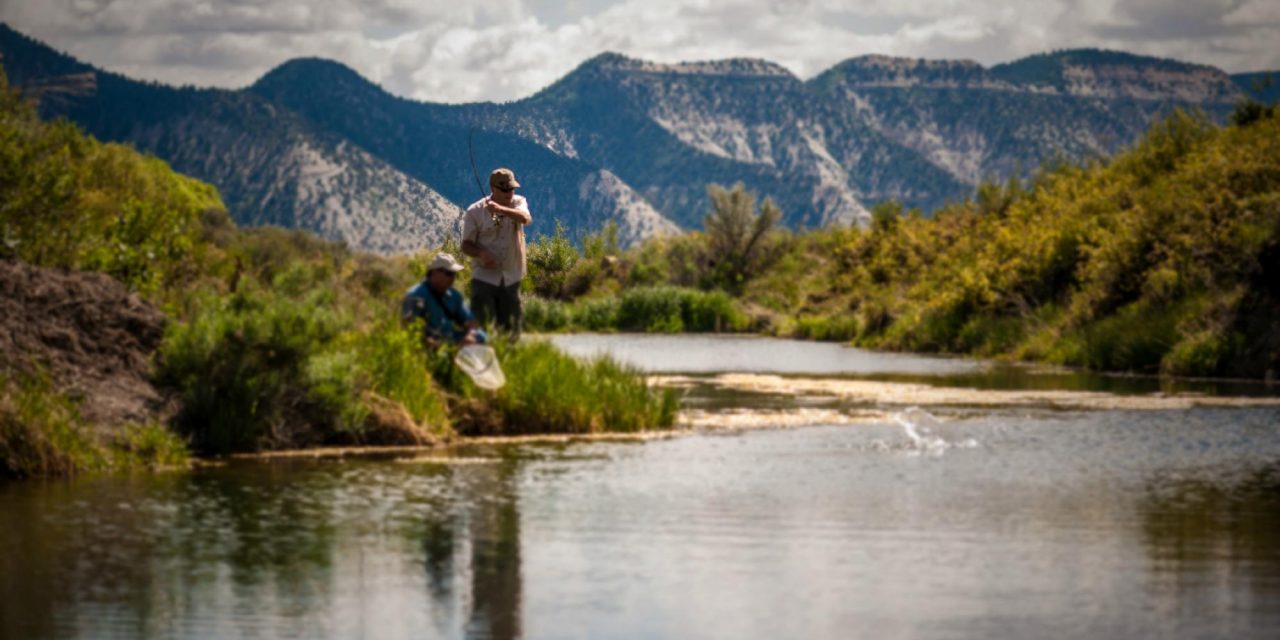 The High Lonesome Ranch (De Beque, CO): What to Know BEFORE You Bring ...