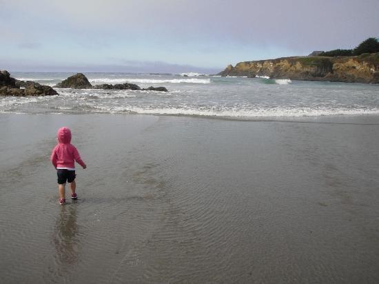 Shoreline Cottages Fort Bragg Ca What To Know Before You Bring