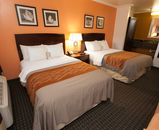 Comfort Inn Santa Cruz Santa Cruz Ca What To Know Before You