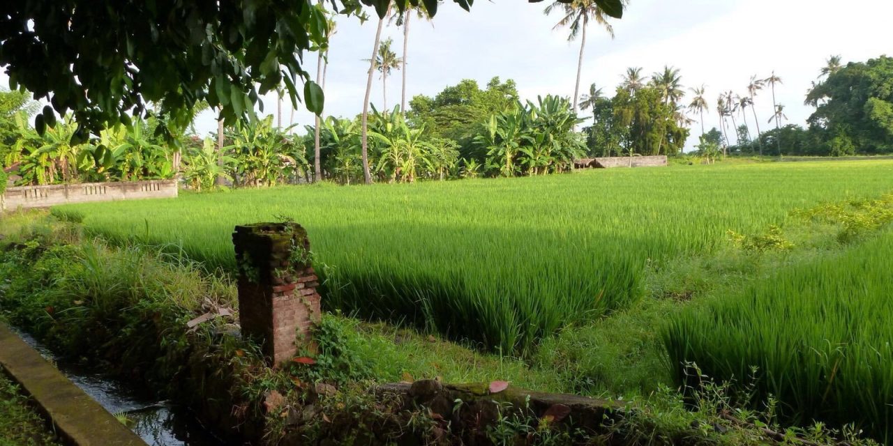 Villa Taman Ganesha The Bali Bible