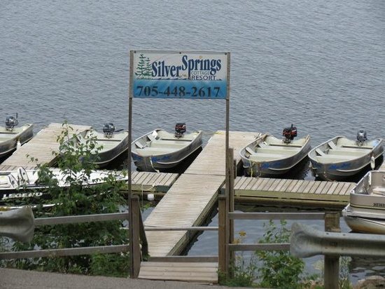 Silver Springs Cottage Resort Harcourt What To Know Before You