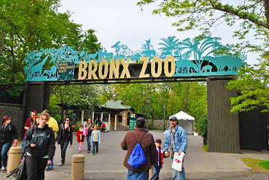 Bronx Zoo (Bronx, NY) 2019 Review & Ratings | Family Vacation Critic