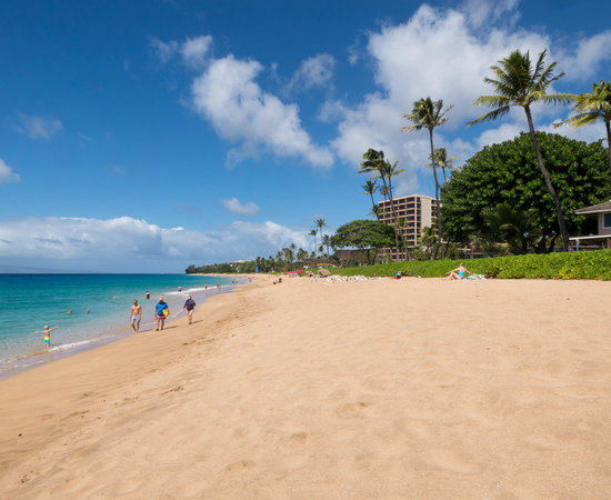 Royal Lahaina Resort Maui Hi What To Know Before You Bring