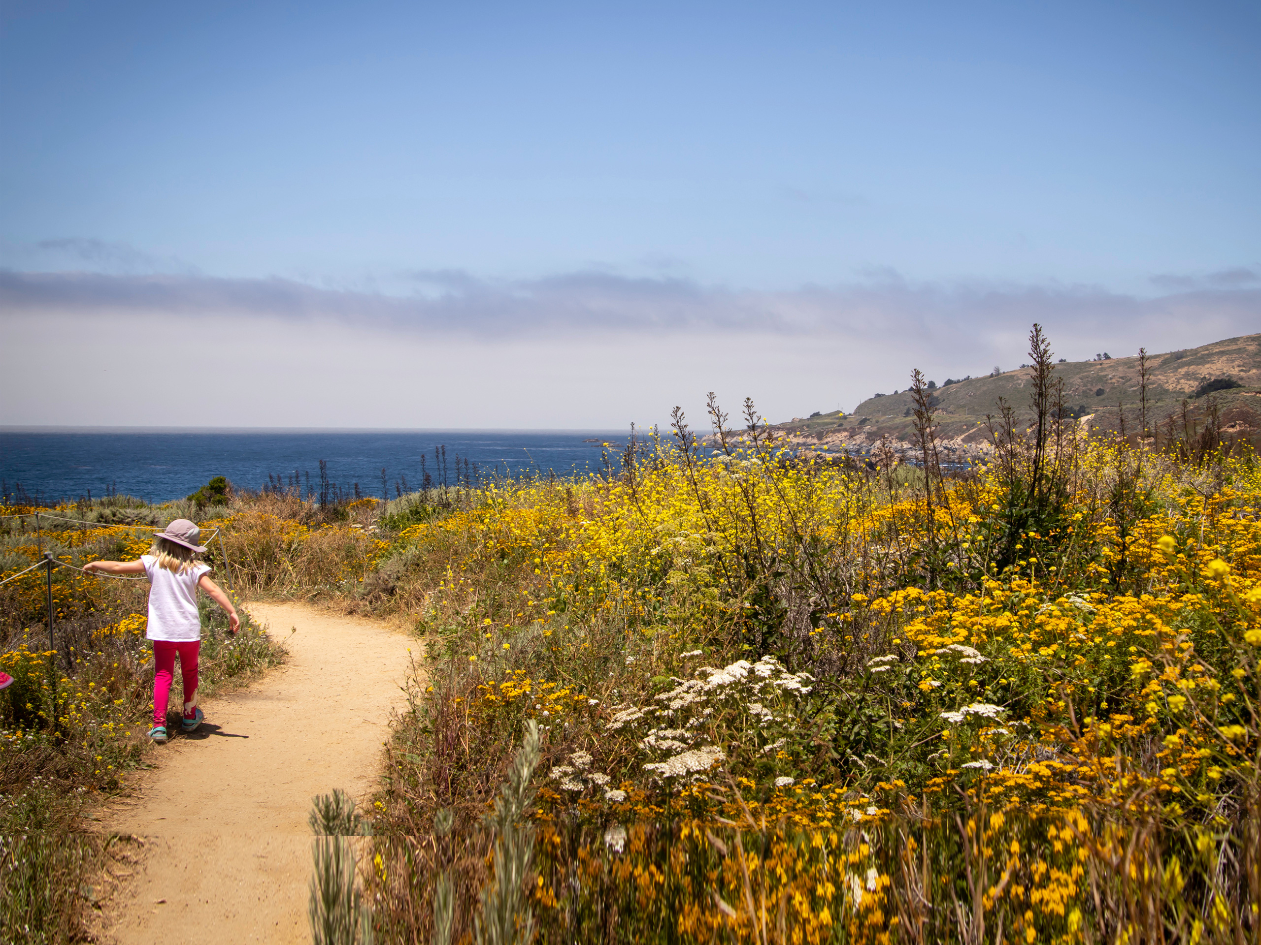 9 Best Vacations With Toddlers In California Family