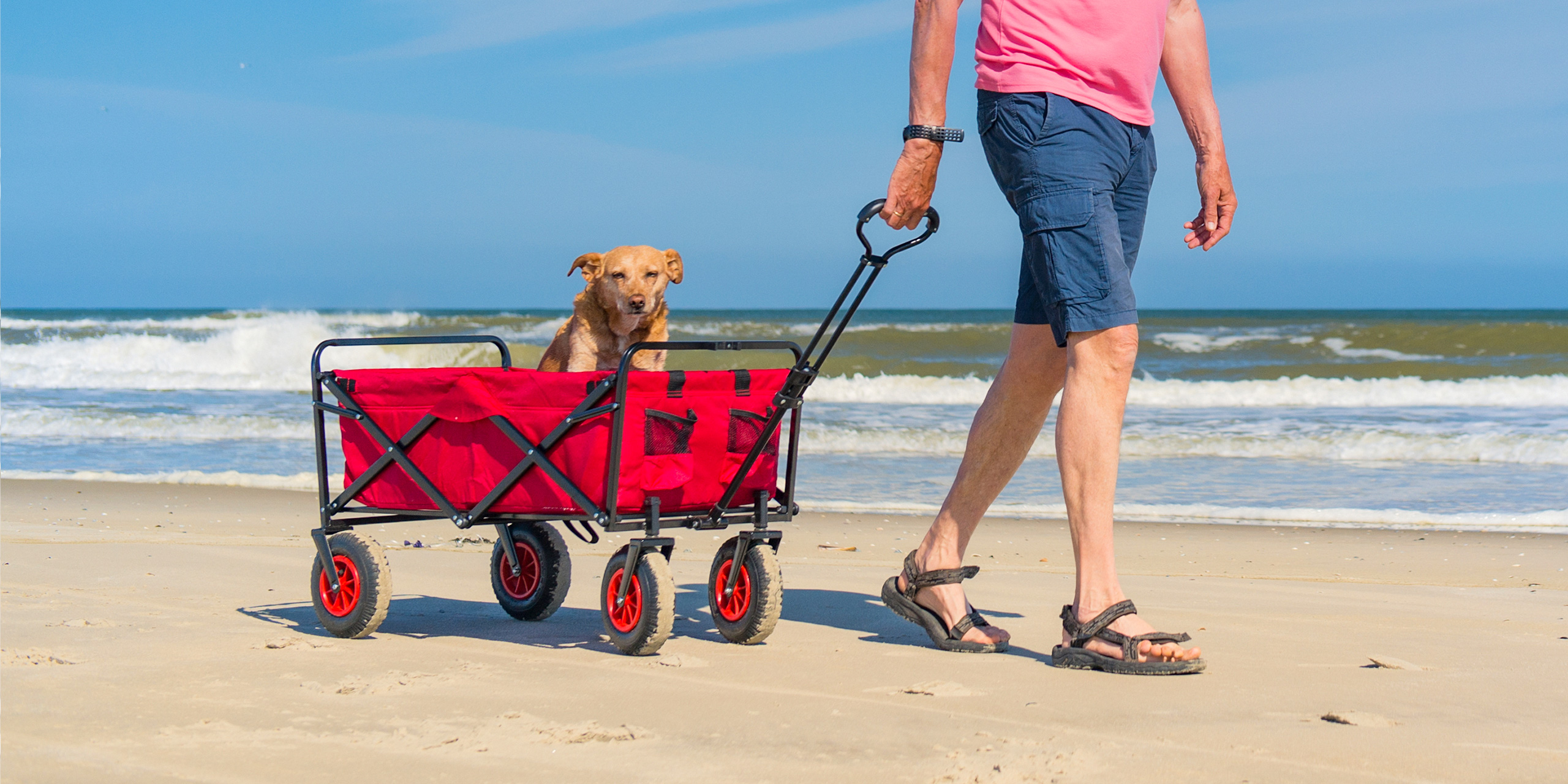 pull along beach cart