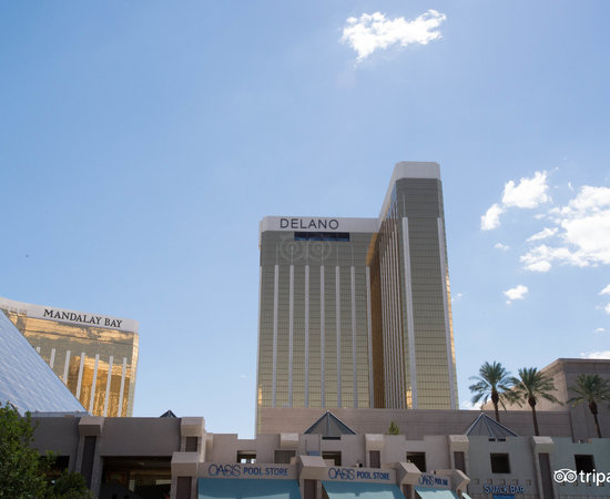 Mandalay Bay Resort & Casino (@mandalaybay) • Instagram photos and