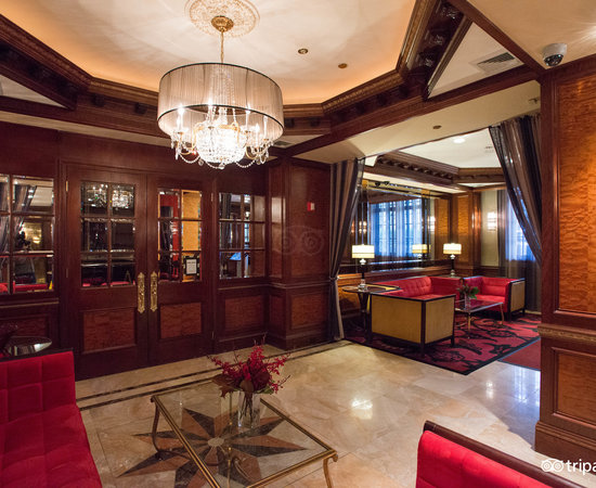 The Excelsior Hotel (New York, NY): What to Know BEFORE You Bring Your ...