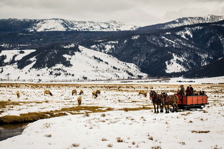 Four Seasons Jackson Hole; Per gentile concessione di Four Seasons Jackson Hole