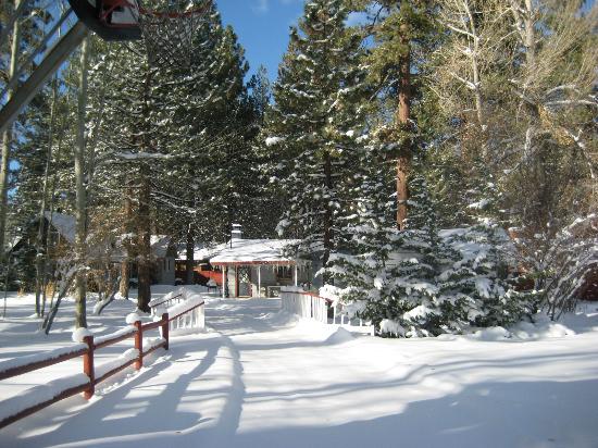 Grey Squirrel Resort (Big Bear Lake, CA): What to Know BEFORE You Bring