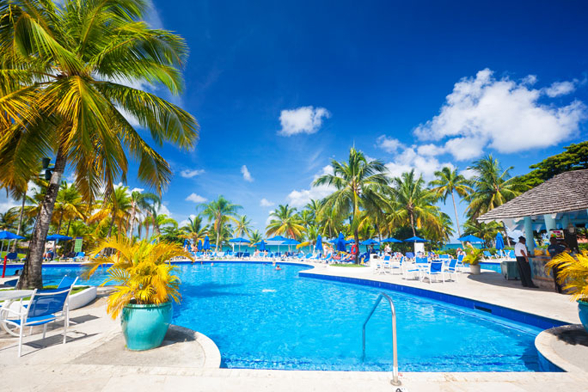 9 Best All Inclusive Family Resorts in St. Lucia Family Vacation Critic