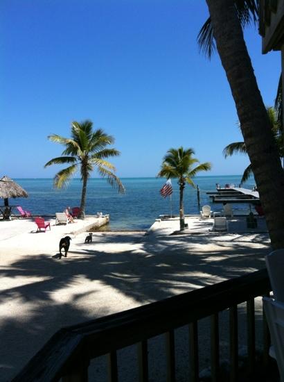 The Sands Of Islamorada