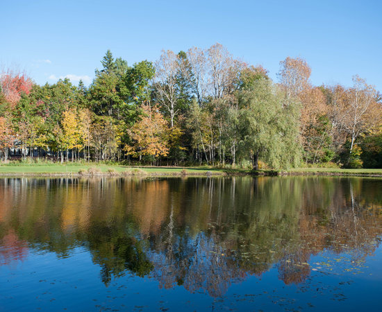 Eden Village Motel and Cottages (Bar Harbor, ME): What to Know BEFORE ...