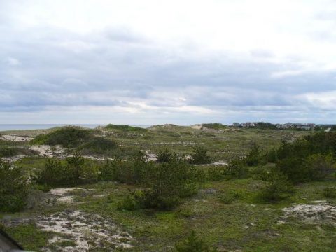 amagansett colony