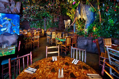 Rainforest Cafe, Orlando, FL | Family Vacation Critic