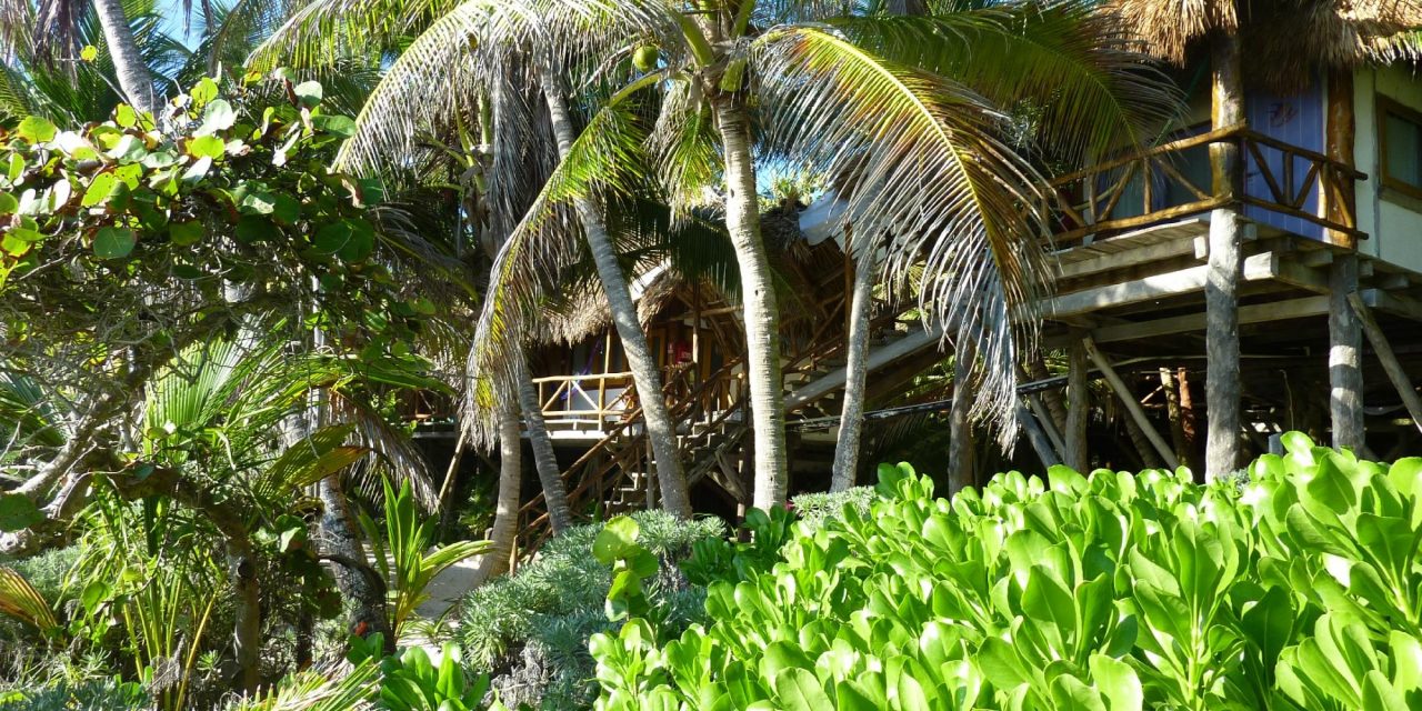 hotel amoreira tulum