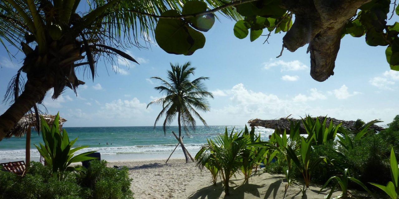 hotel amoreira tulum