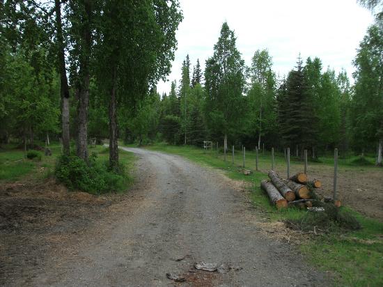 Red Cabin B&B (Kenai, AK): What To Know BEFORE You Bring Your Family