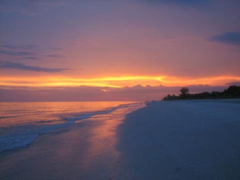 Mitchell's Sandcastles (sanibel Island, Fl): What To Know Before You 