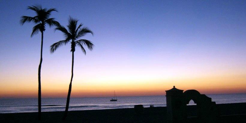 hollywood beach dolphin tours