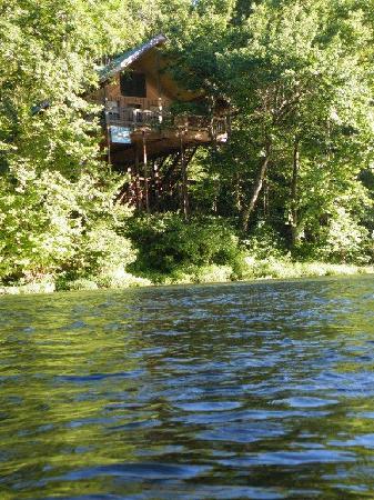 Tree House Cabins At River Of Life Farm Dora Mo What To Know Before You Bring Your Family