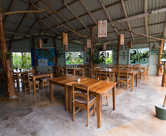 Leaves and Lizards Arenal Volcano Cabin Retreat (La ...