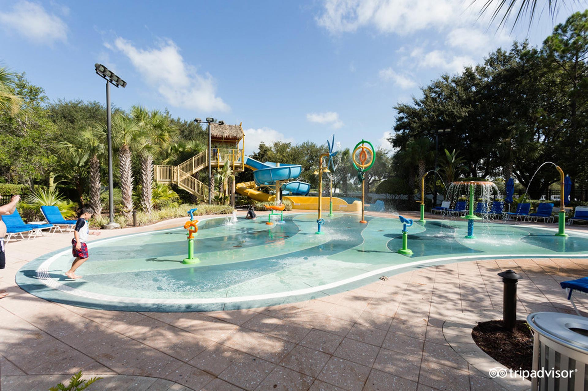 11 Best Hotel Pools in Orlando | Family Vacation Critic