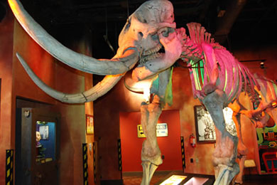 Ripley's Believe It Or Not! (San Antonio, TX) 2021 Review & Ratings