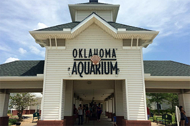 Oklahoma Aquarium (Jenks, OK) 2021 Review & Ratings | Family Vacation