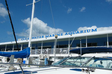 Clearwater Marine Aquarium (Clearwater, FL) 2023 Review & Ratings ... - Clearwater Marine Aquarium