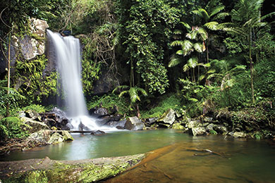 Mount Tamborine National Park 2021 Review & Ratings | Family Vacation ...