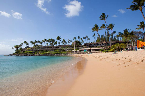 Napili Beach (Lahaina, HI) 2023 Review & Ratings | Family Vacation Critic